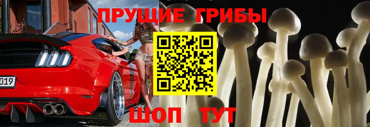 Свободный  Галлюциногенные грибы Magic Shrooms  Вход с VPN 